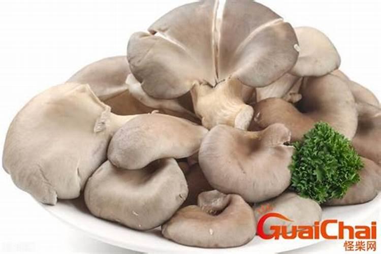 平菇生料栽培配方