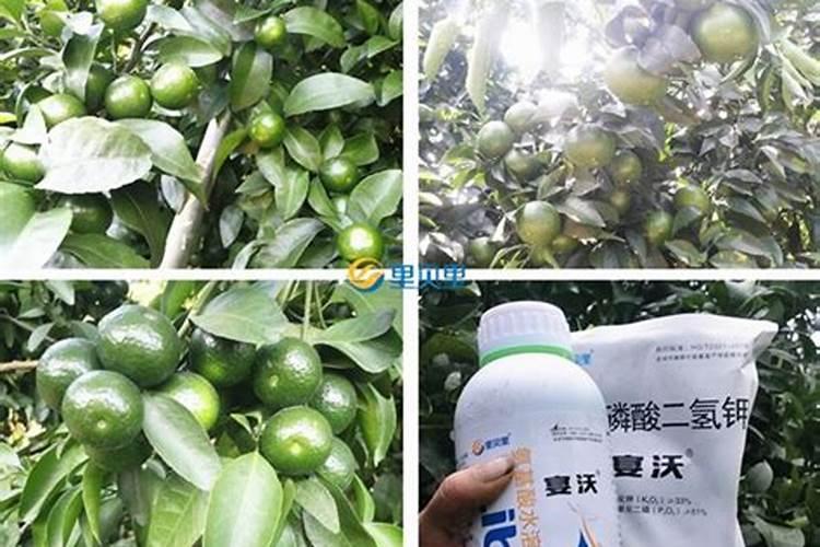 如何自做水溶肥