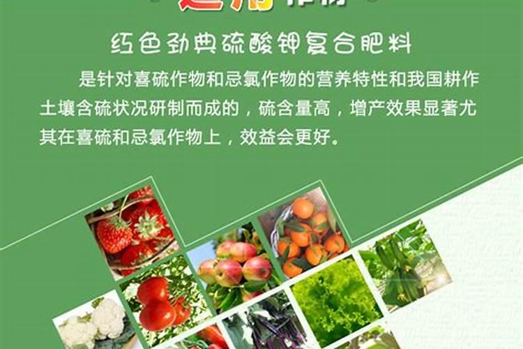 双硫基纯硫酸钾适用于什么作物？
