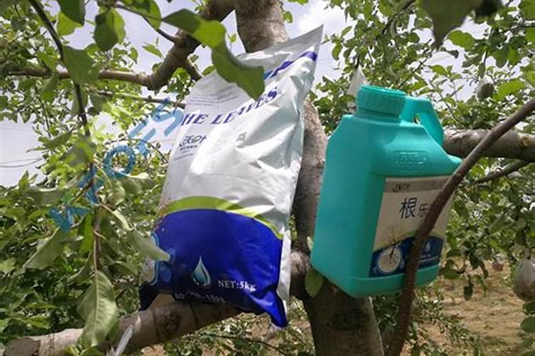 水溶肥在苹果上的效果