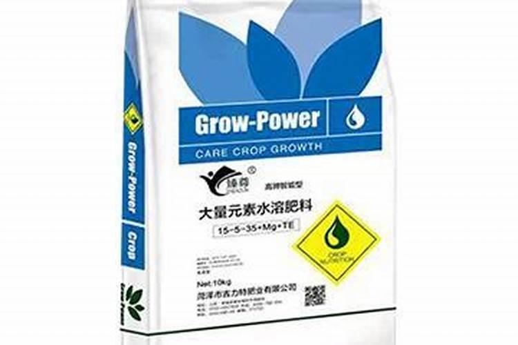 大棚西瓜种植技术最后一次灌水在什么时候 西瓜现在在根下死,是什么原因...