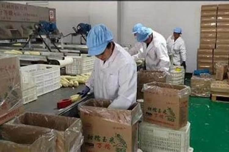 石药集团恩必普药业有限公司是国企吗