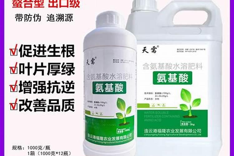 花芽分化用什么叶面肥