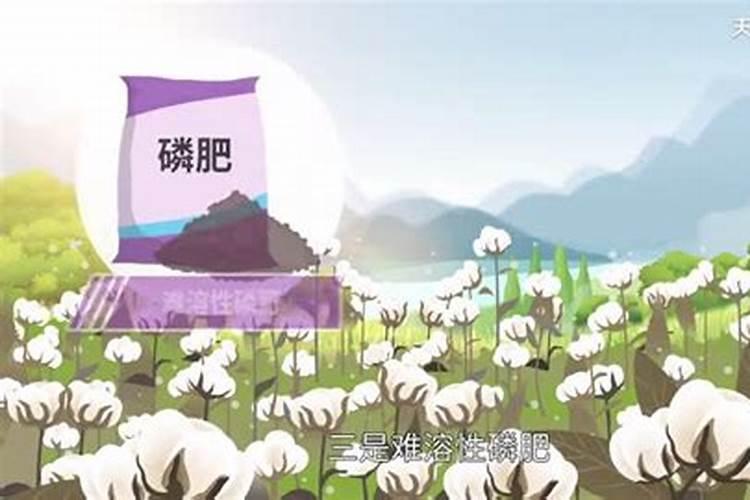 磷矿有哪几方面用途？