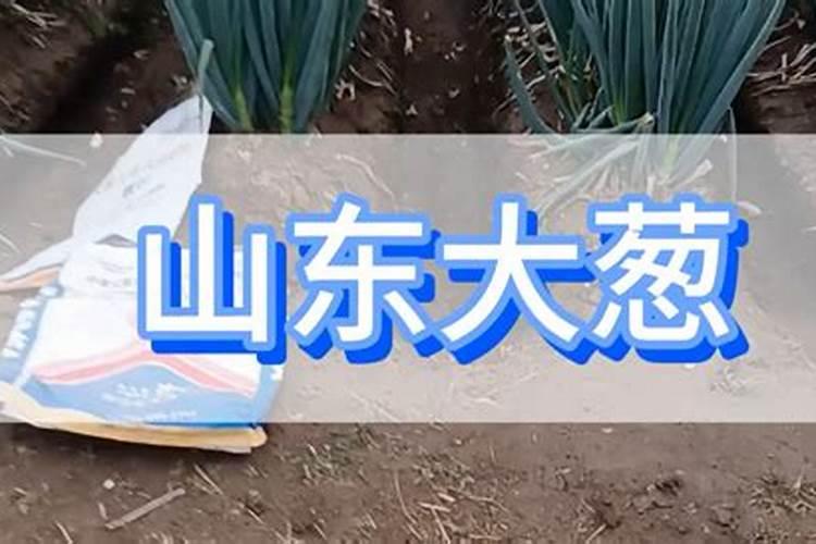 硅钙肥施入地后板结原因？