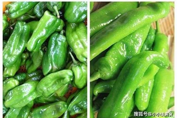 青椒种植叶面肥很关键,该怎么施肥？
