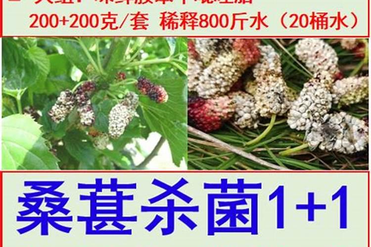 多菌灵可以浇牡丹吗