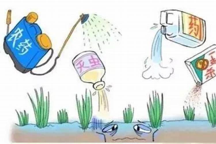 怎样消除残留在土壤里面的除草剂