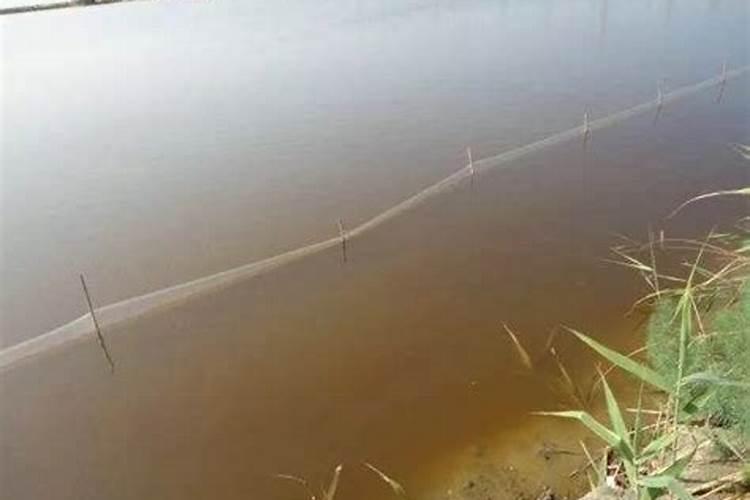 请问衣服滴到红黑水用什么洗？