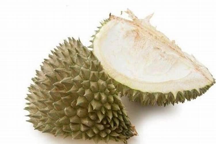 榴莲盆栽种植方法与技巧