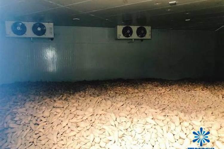 冰箱的冰冻区鱼内类食品保质期为多久