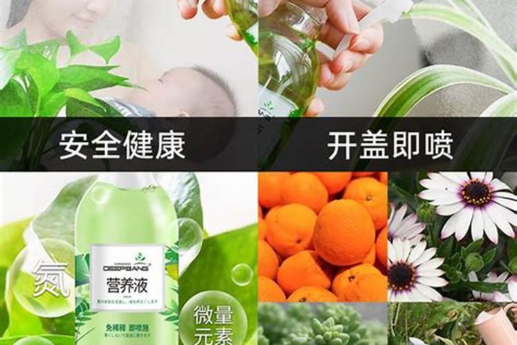 水溶肥是什么肥料,水溶肥怎么用效果好,注意事项