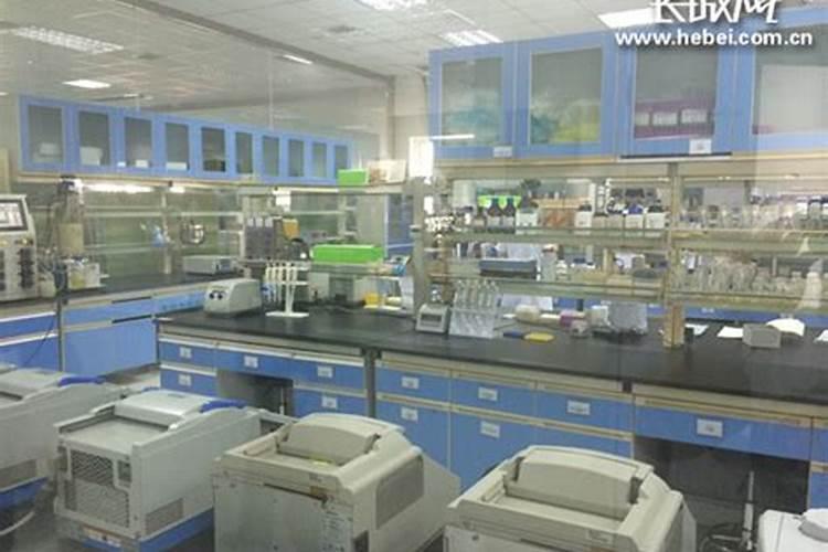 鱼蛋白肥料哪个品牌好