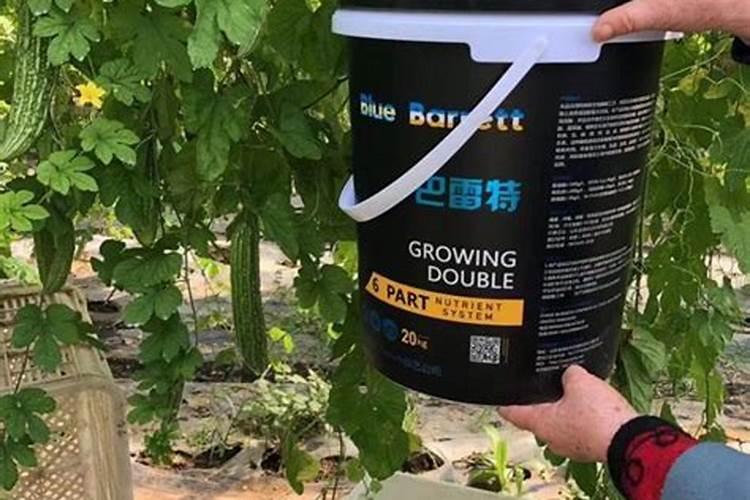 桶装冲施肥与袋装水溶肥的区别各自的优势？