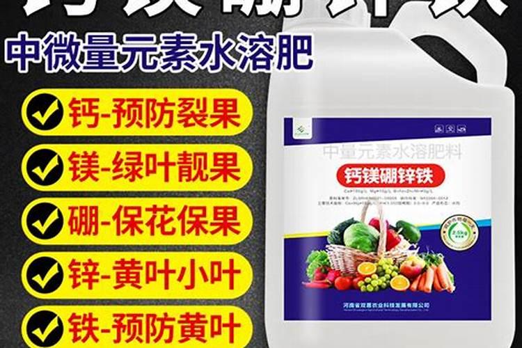 草莓增加硬度的方法是补充钙肥,有几种方法可以有效补充钙肥？