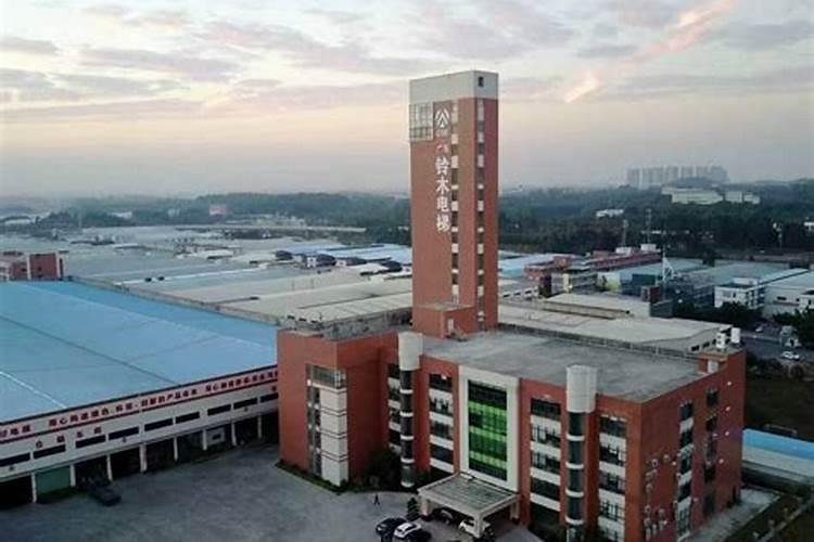 杨梅膨果肥用什么肥最好