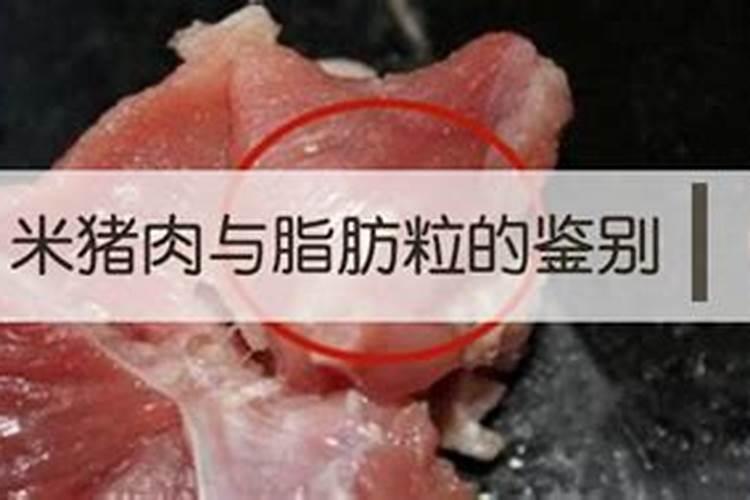 鲤鱼肚子里的白色颗粒是什么呀？一面是硬壳一面像果冻一样。第一次见...