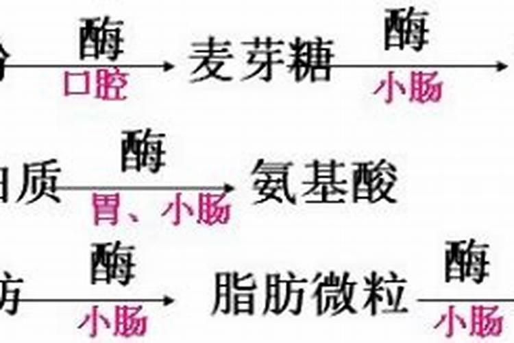 淘米水是氮肥还是磷肥