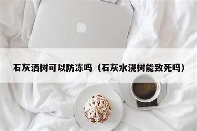 树干涂白的好处有哪些？