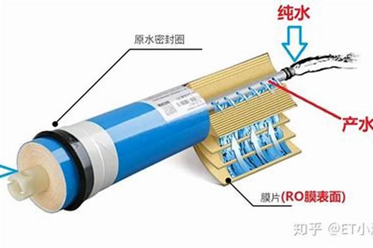 葡萄膨果肥用什么肥最好,葡萄的施肥时间是哪个时候