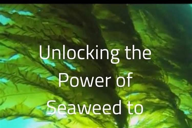 露天辣椒用这个复合肥加海藻尿素好吗？