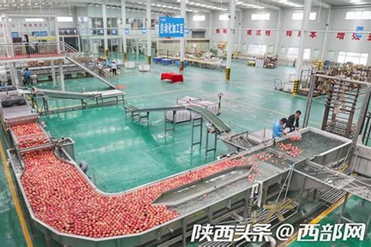 化肥哪里可以批发