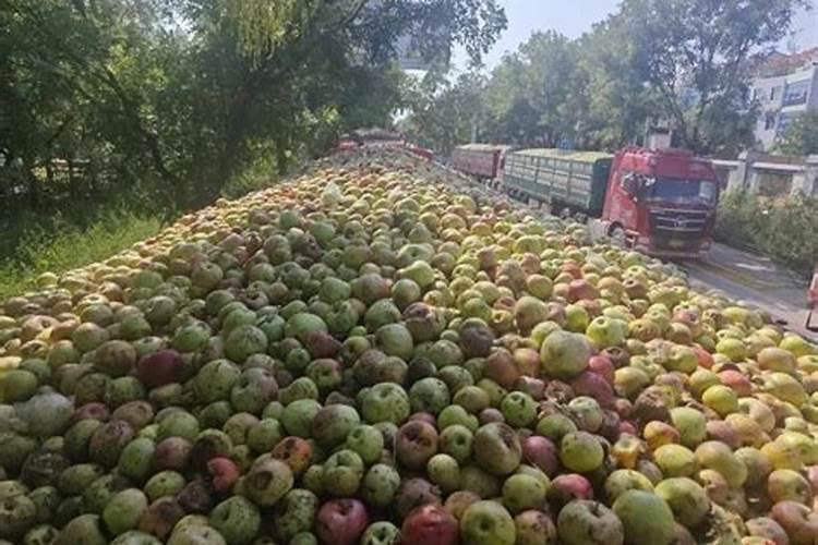 天脊16620硝酸钾水溶肥的批发价格是多少？
