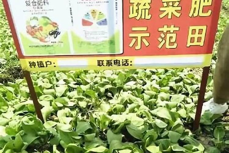 要怎么去处理菜市场里的废菜才比较妥当？