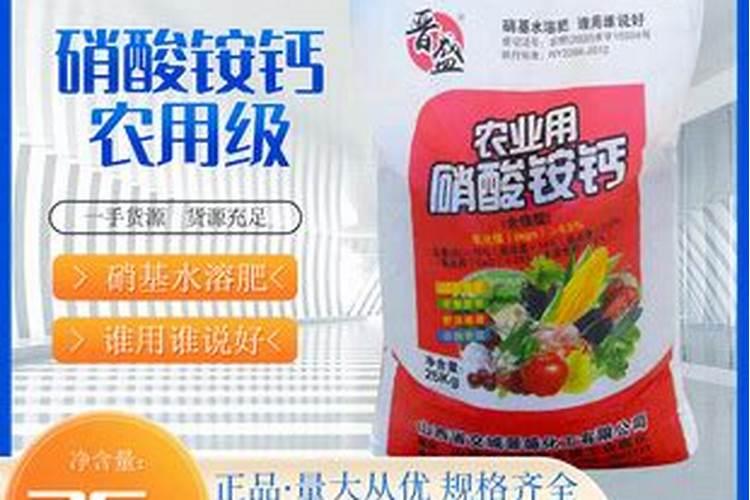绿萝喜欢什么肥料