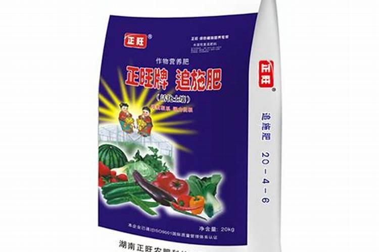 豆角正旺就要改栽西红柿吗？