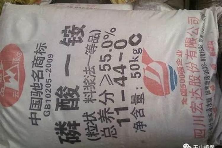 果树缺钙用什么肥料最适合