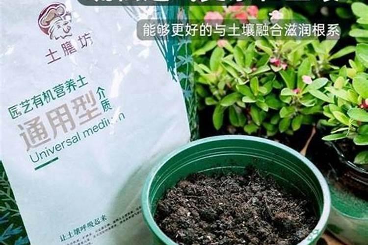 红糖制作液体有机肥的配方