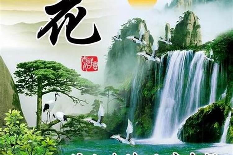 客厅见树,家业稳固!适合客厅养的5种树,好看好养,提升幸福感