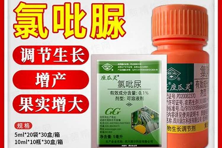 水果黄瓜,冲什么钙肥好？