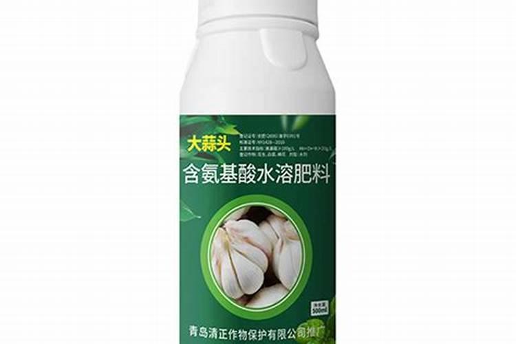 怎样促进大蒜生根壮苗