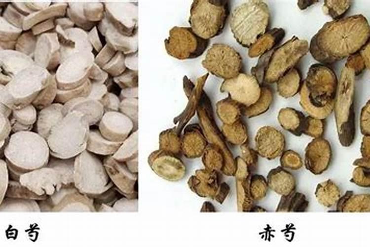 中药材膨大用什么肥？中药材壮根用哪个肥料？中药材叶面肥用根小子
