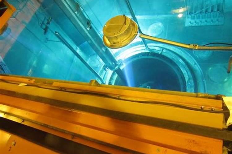 肥料的种类有哪些