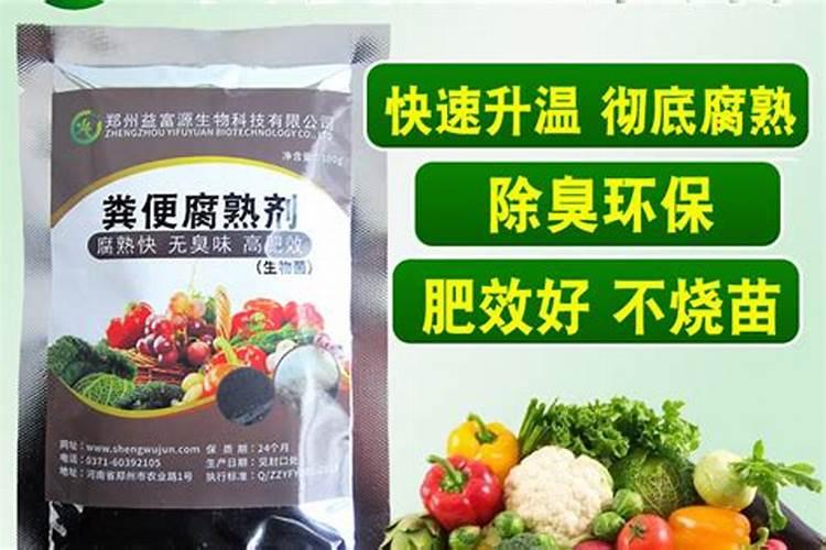 鸽子的粪能当花肥用吗