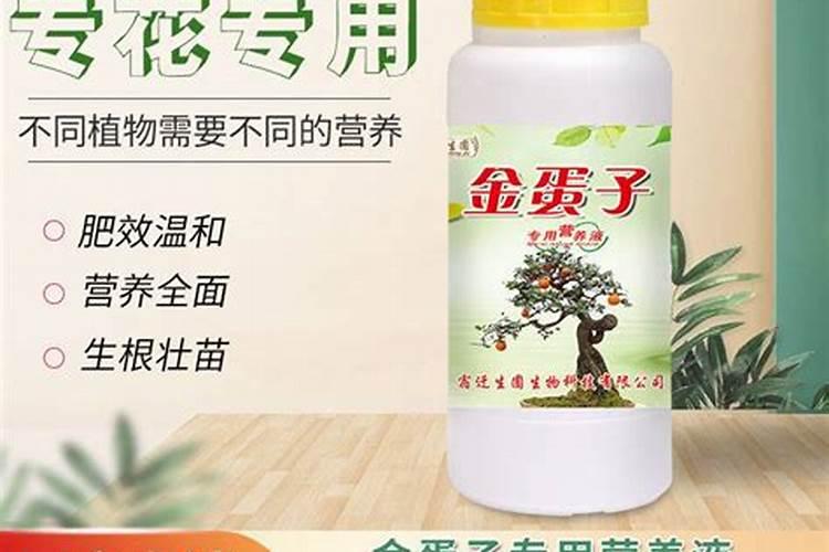 金弹子施什么肥最好