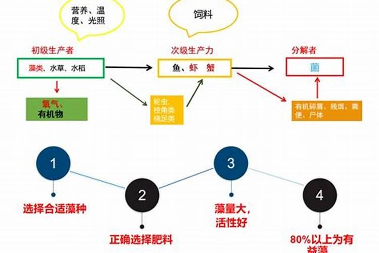 怎样去除水池里的绿苔