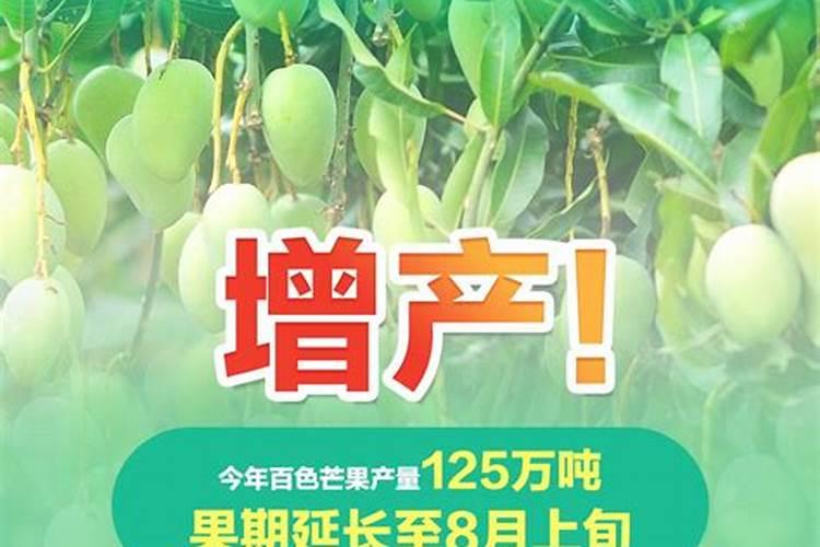 种芒果施什么肥