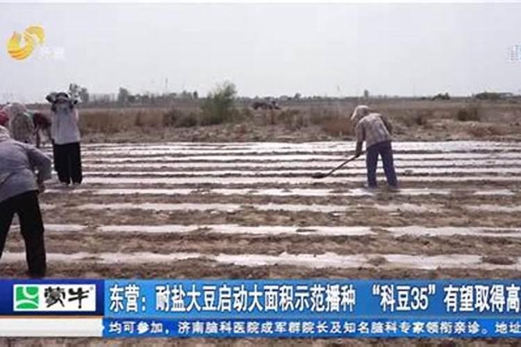 绷肥钼肥半大豆种硼肥能半大豆种吗？