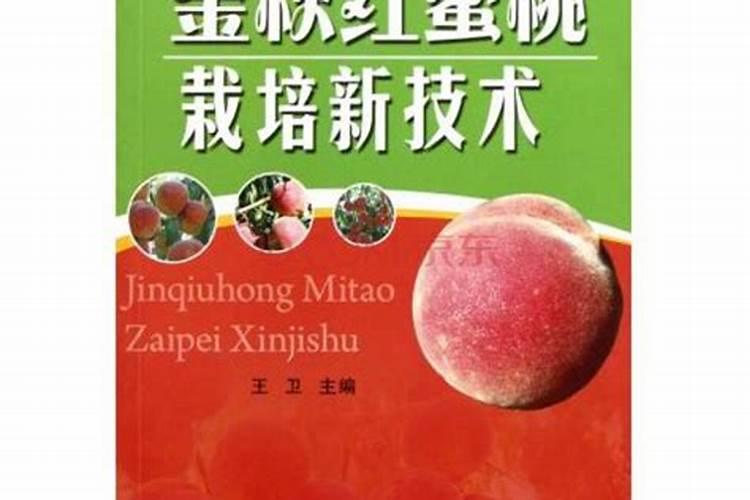 金秋红蜜桃是不是晚秋红蜜桃