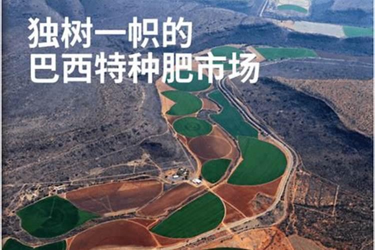 钾肥多久可以浇一次水