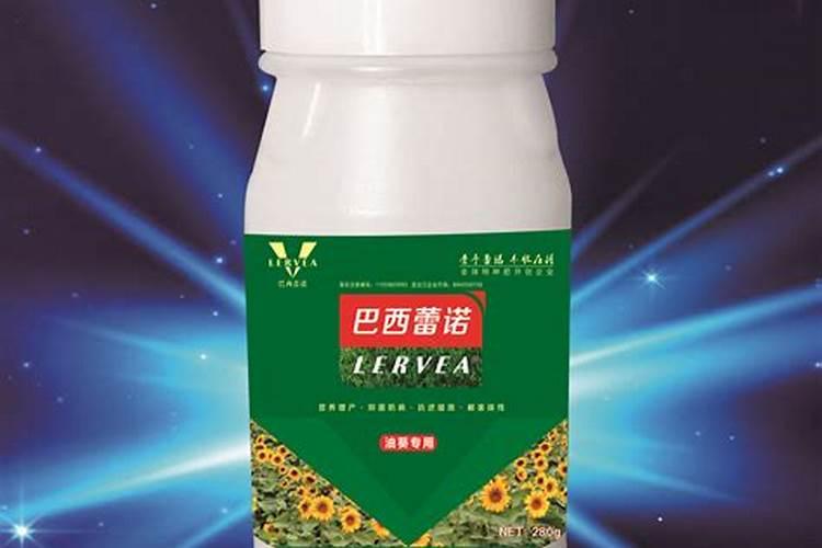 请问绿萝和巴西铁怎么养？谢谢!