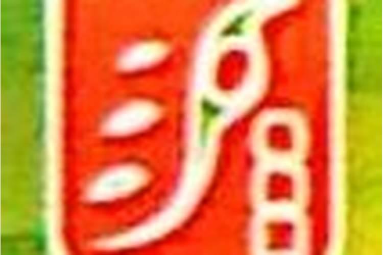 君子兰用什么肥料好