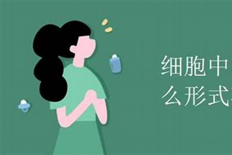 牧草哪种营养最高？