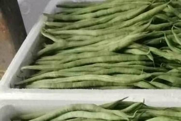 种豆最好的肥料是什么？