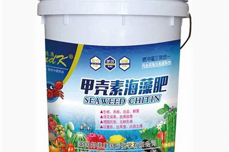 大姜根腐病特效药