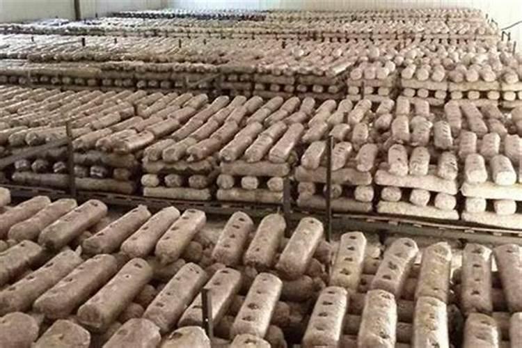 李子树摘后用什么肥料？今年的果子结的不好,让李子树长的壮点